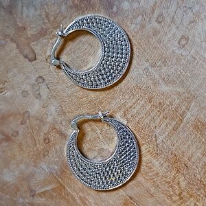 Silver Hoops